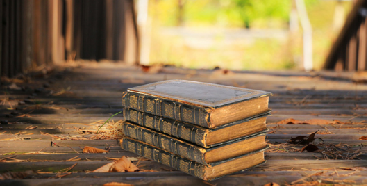 image image.png?v=1765715120600