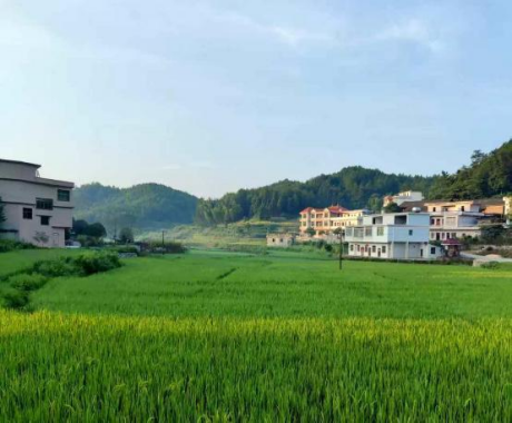 图片 31 图片 31.png