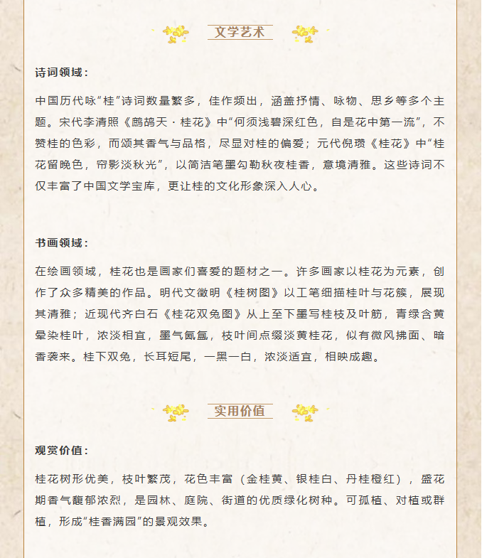 image.png?v=1762099910466