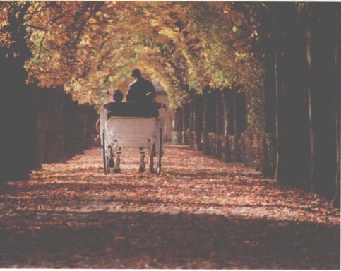 pagenumber_ebook=81,pagenumber_book=73