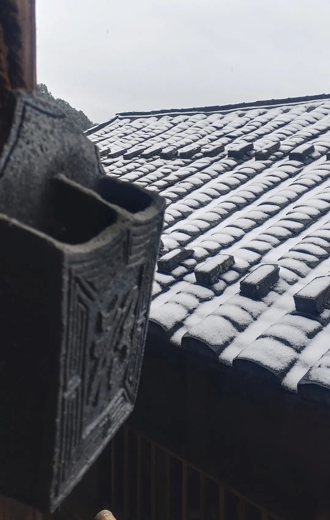 微信图片_20220225092014 微信图片_20220225092014.jpg