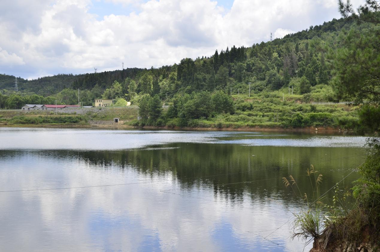 image27 image27.jpeg