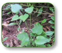 pagenumber_ebook=168,pagenumber_book=155