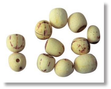 pagenumber_ebook=303,pagenumber_book=290