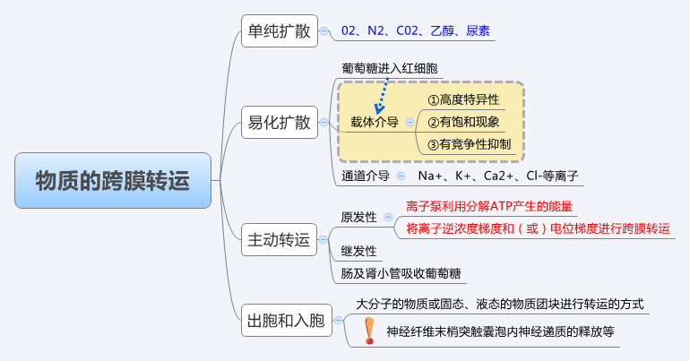 物质跨膜转运.jpg