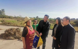 image image.png?v=1762546569595