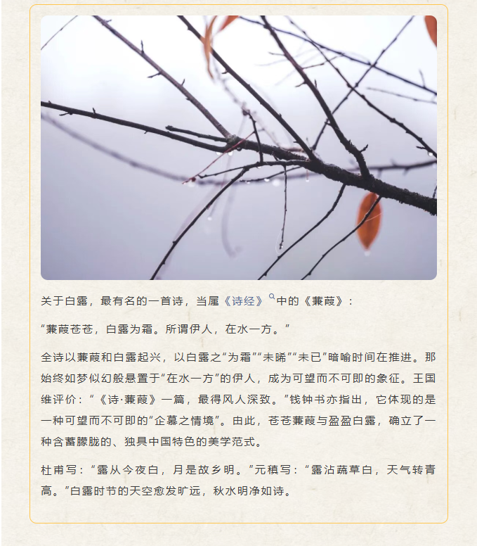 image.png?v=1788858041626