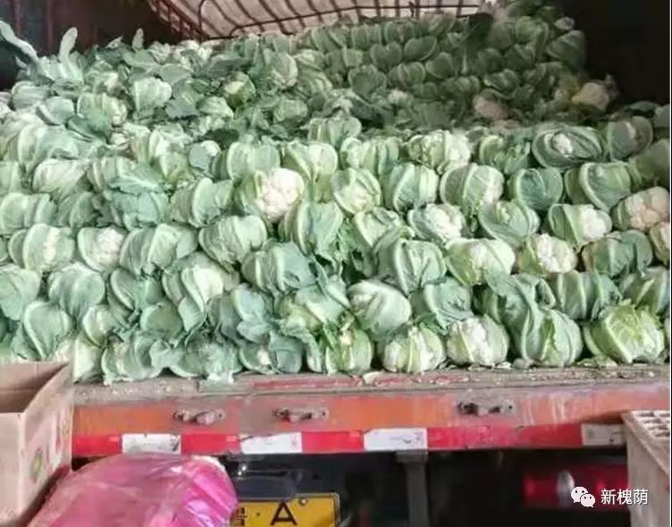 微信图片_20200323144312 微信图片_20200323144312.jpg