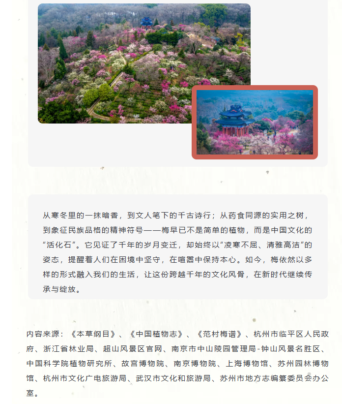 image.png?v=1762124709276