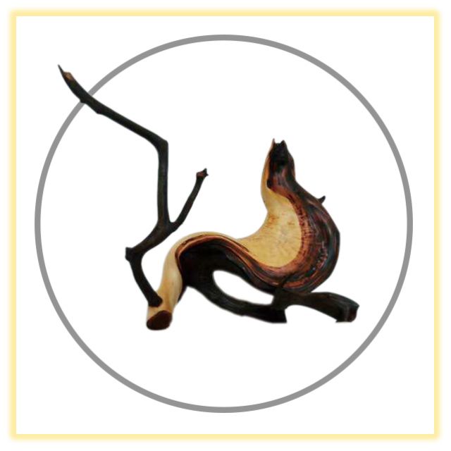 微信图片_20201021152627