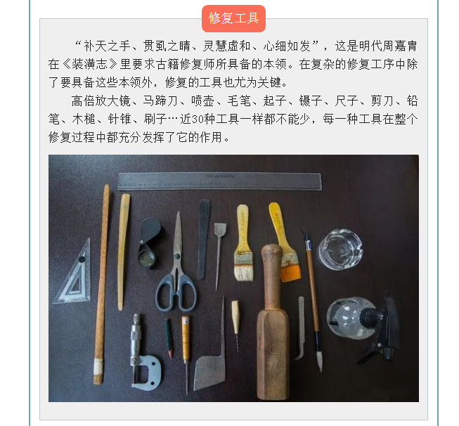 image.png?v=1754275719565