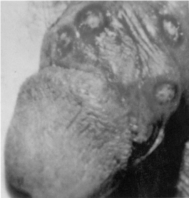 pagenumber_ebook=71,pagenumber_book=60