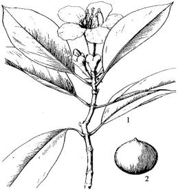 pagenumber_ebook=154,pagenumber_book=154