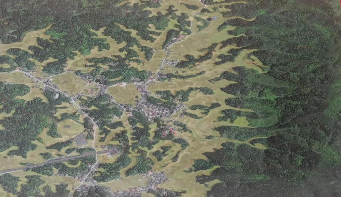 image001 image001.jpg