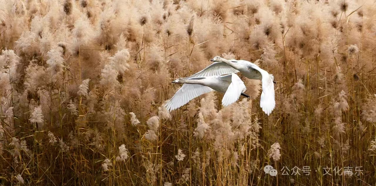 微信图片_20250206153642 微信图片_20250206153642.jpg