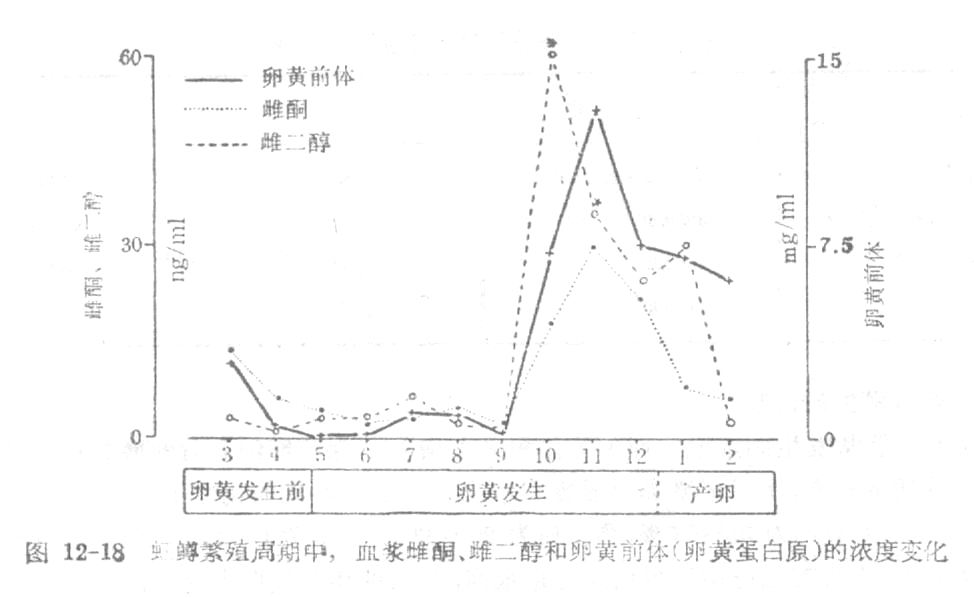 虹鳟繁殖周期中,血浆中雌酮、雌二醇和卵黄前体的浓度变化.jpg