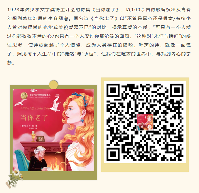 image.png?v=1762126141878