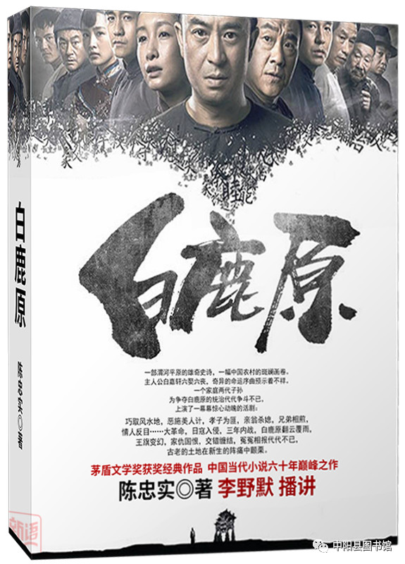 1 1.jpg?v=1770167915344