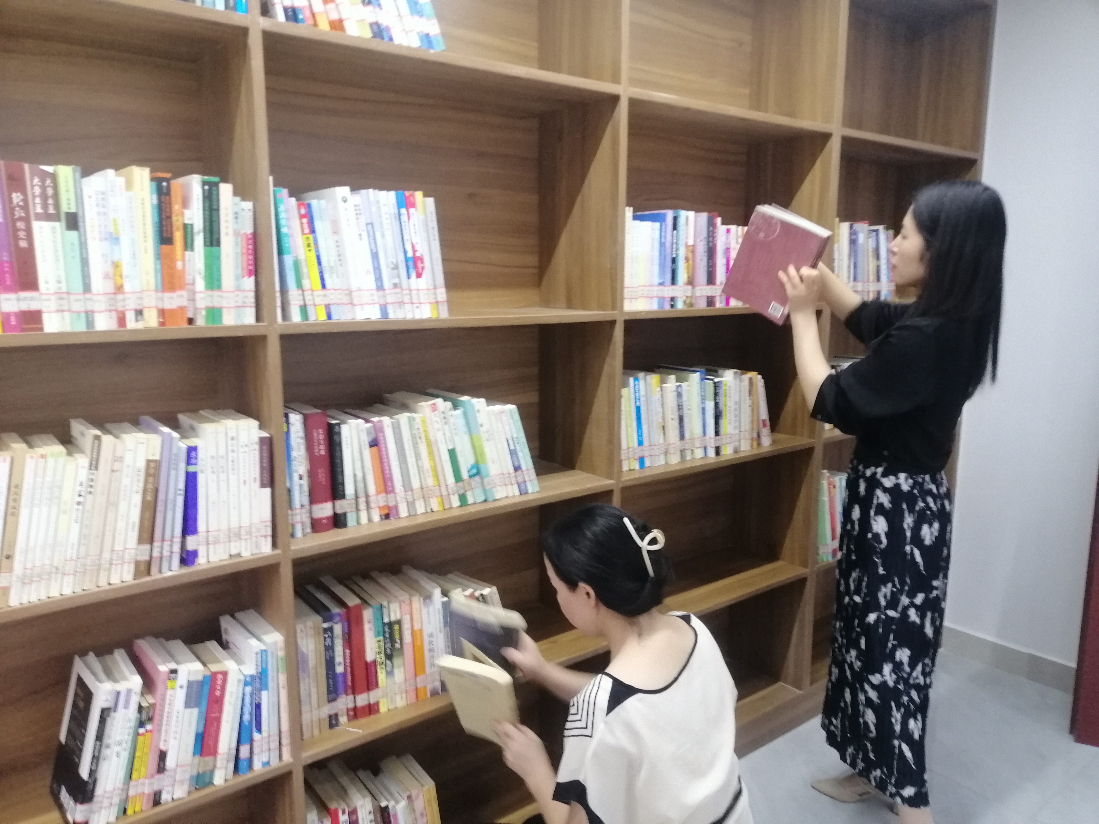 IMG_20230822_094141 IMG_20230822_094141