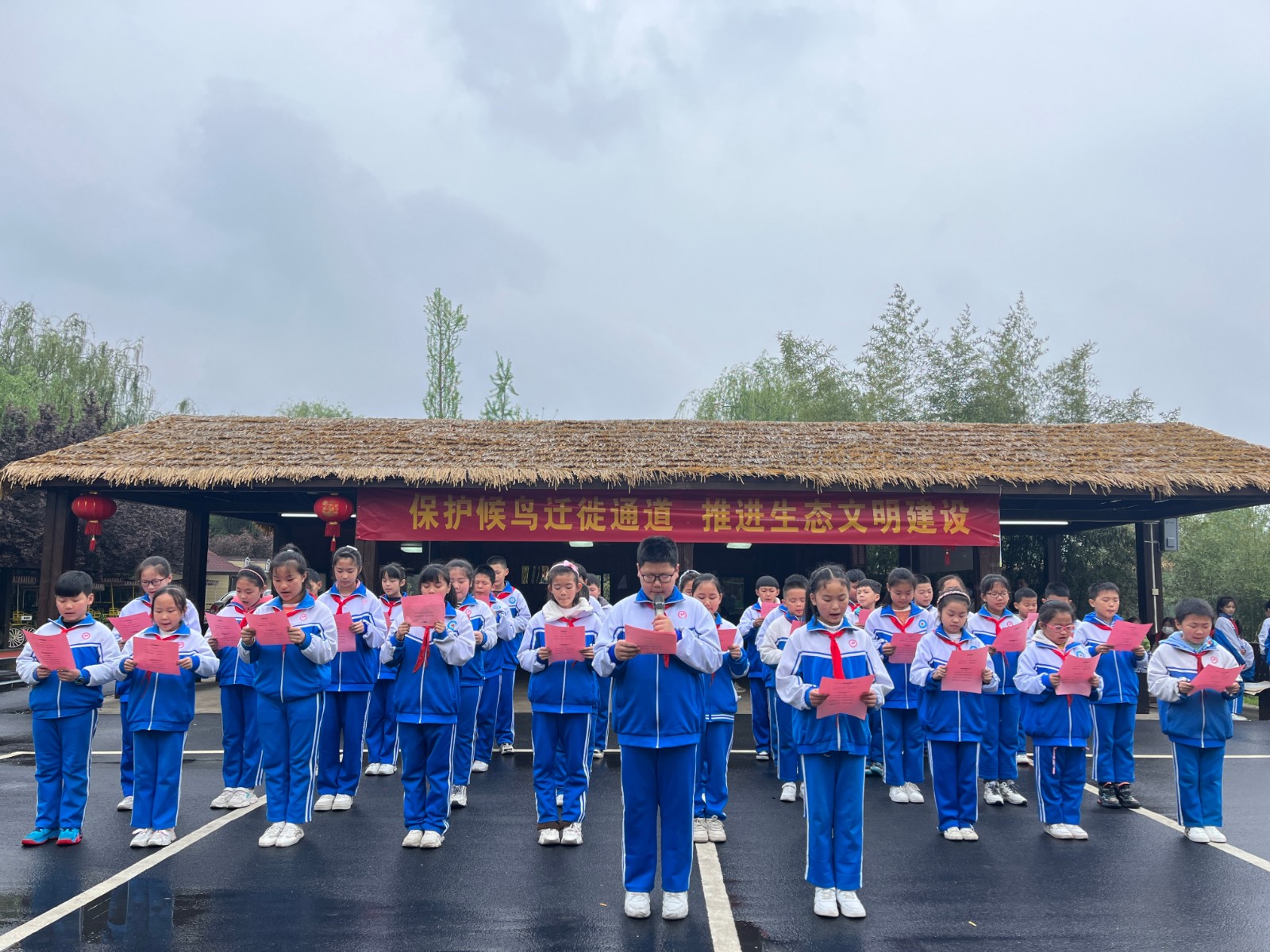 6c509d4b8b8bc0a6023489c991458c6