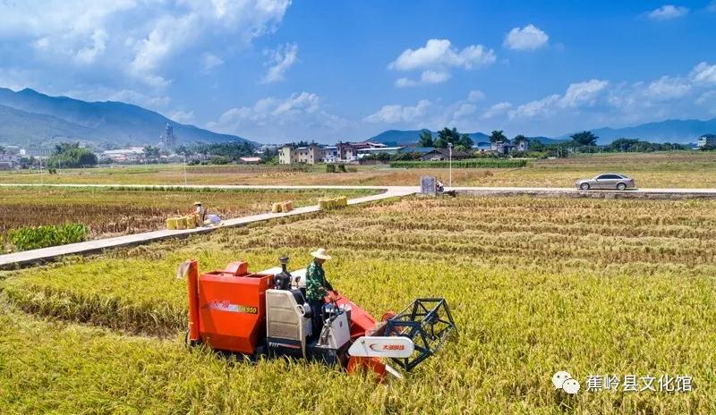 15 15.jpg?v=1765891042459