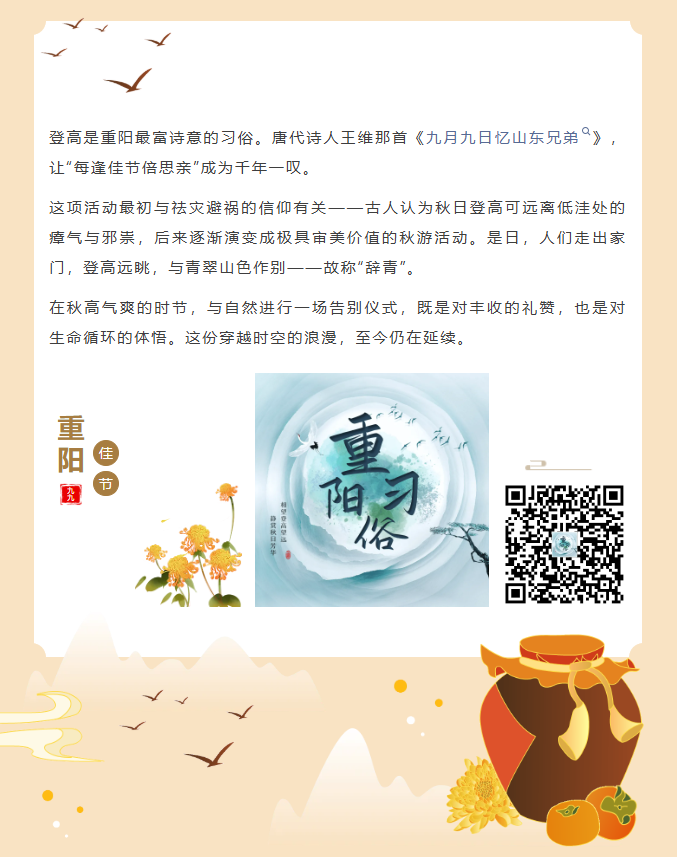 image.png?v=1762073571804