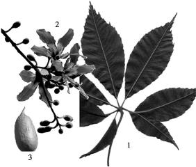 pagenumber_ebook=85,pagenumber_book=85