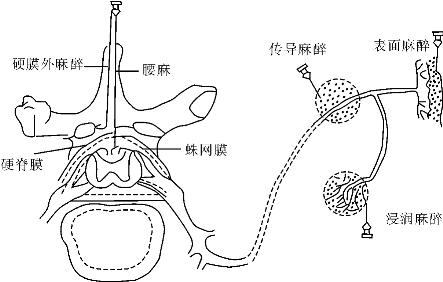 pagenumber_ebook=83,pagenumber_book=83