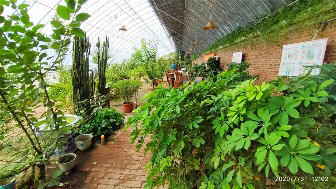 微信图片_20200802111856