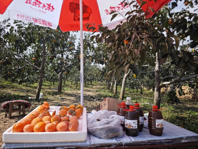 a030d7b211ab142ddb24b1286862d584 a030d7b211ab142ddb24b1286862d584.png