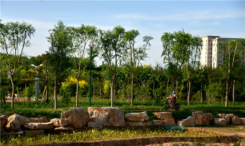 微信图片_202009010931561 微信图片_202009010931561.jpg