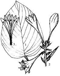 pagenumber_ebook=211,pagenumber_book=211