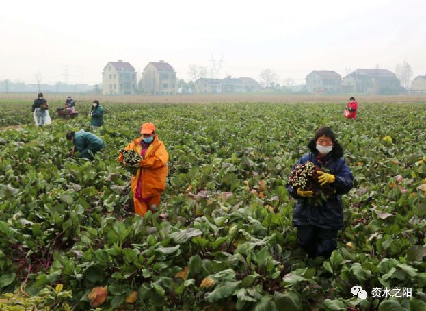 3 3.jpg?v=1765954176158