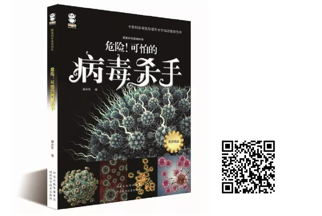 图片112 图片112.png?v=1762227330048