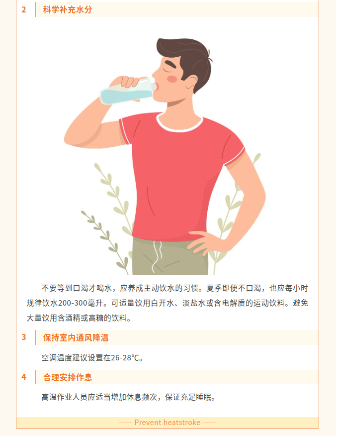 image.png?v=1786662449512