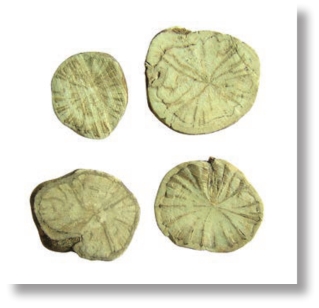 pagenumber_ebook=99,pagenumber_book=86