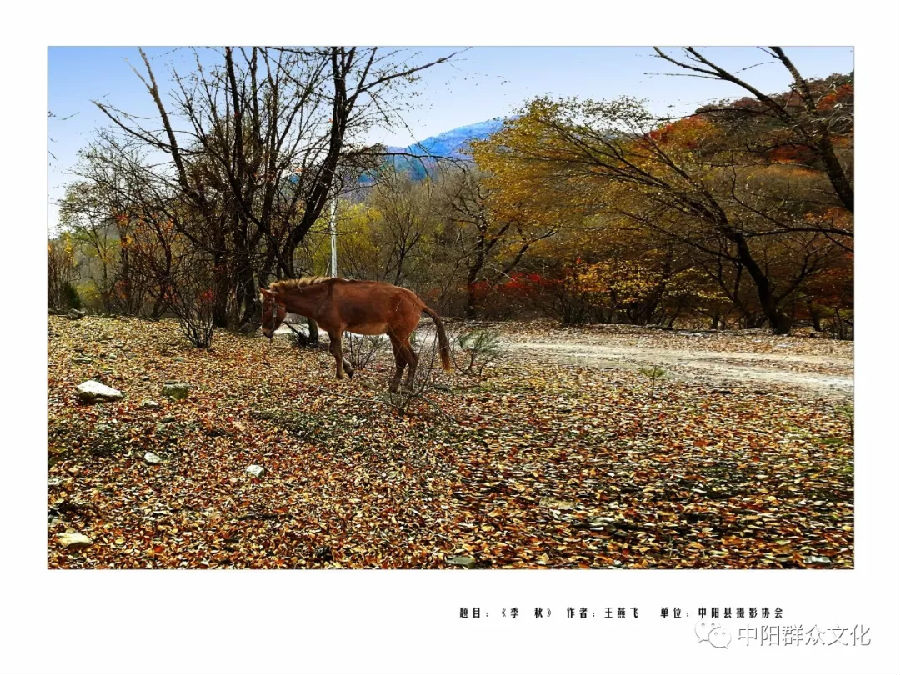 640.webp (4).jpg?v=1764880118725