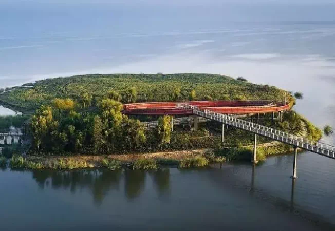 08DB5BFF-6F22-4208-A5A6-C1F676A19241 08DB5BFF-6F22-4208-A5A6-C1F676A19241.png