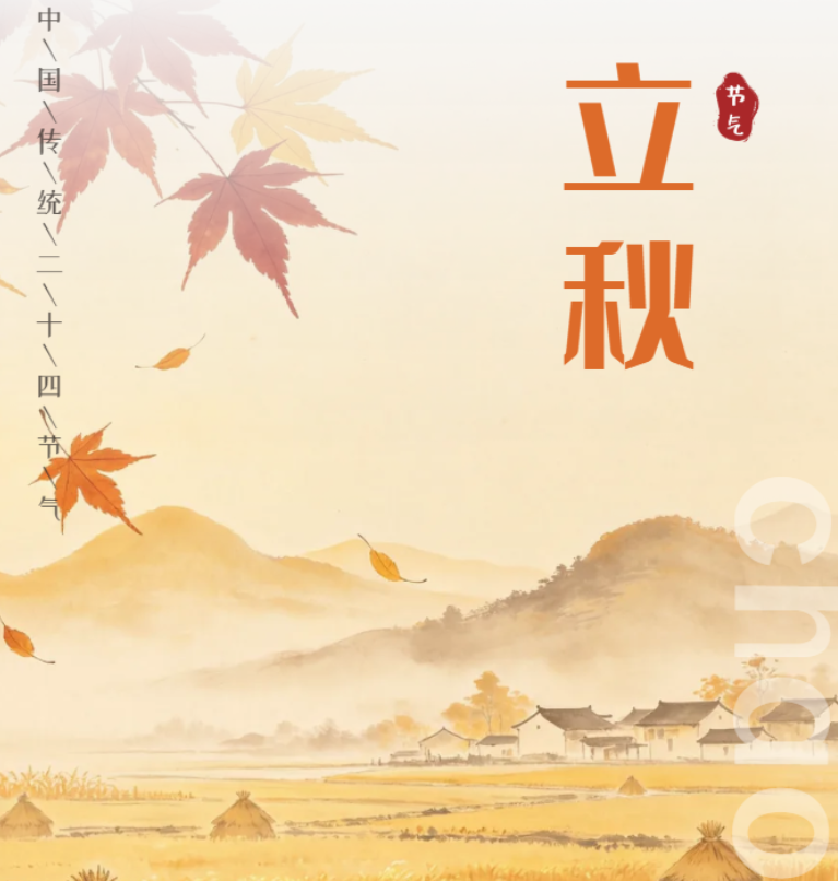 image image.png?v=1786932490150