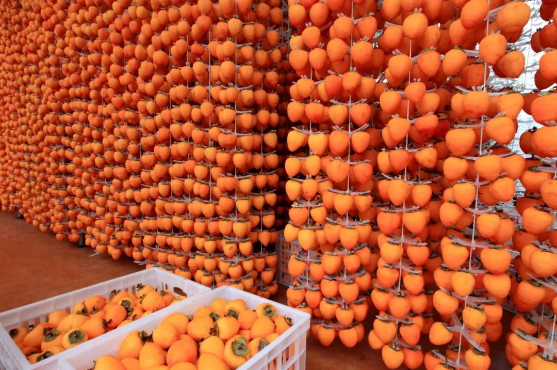 c534c65023fa078479f3d0fa0caa49a c534c65023fa078479f3d0fa0caa49a.png