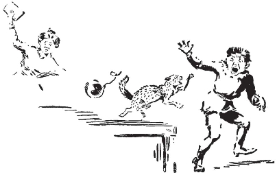 pagenumber_ebook=50,pagenumber_book=42