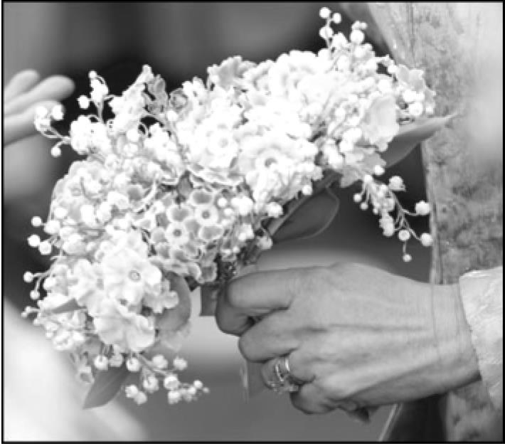 pagenumber_ebook=96,pagenumber_book=88