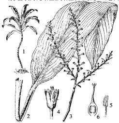 pagenumber_ebook=151,pagenumber_book=151