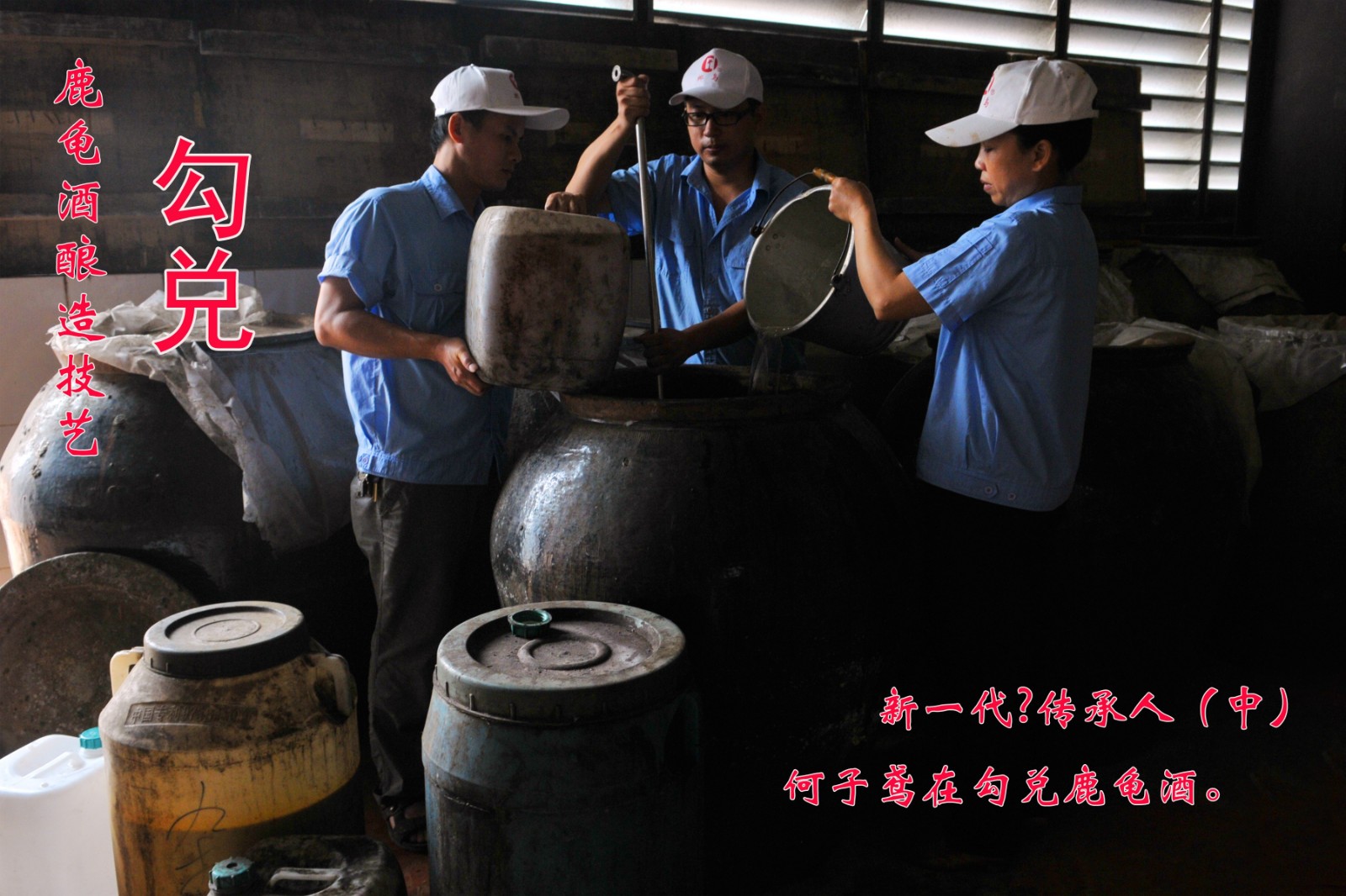 12X8,8张。DSC_7581