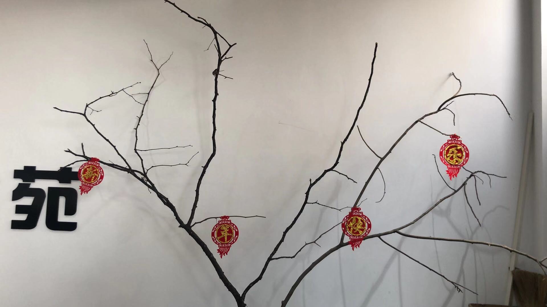 2b96a9d66da83acfa1f74762187ba0b