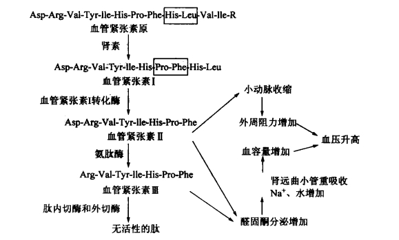 pagenumber_ebook=184,pagenumber_book=166