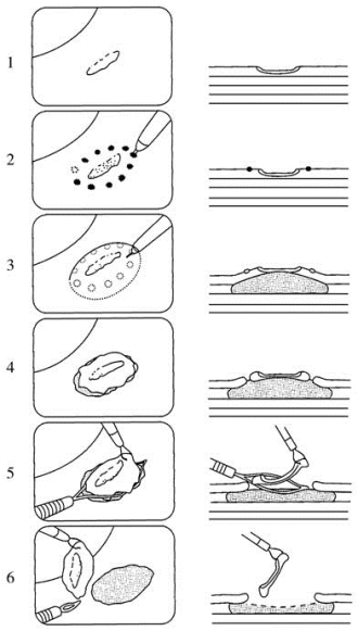 pagenumber_ebook=521,pagenumber_book=506