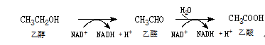 QQ图片20190505190753.png
