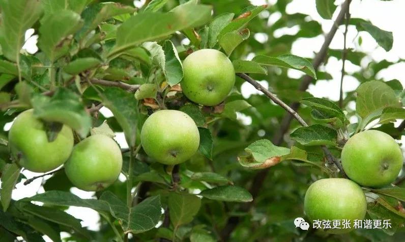 微信图片_20210908151402 微信图片_20210908151402.jpg