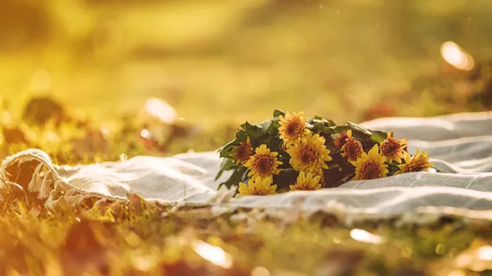 image image.png?v=1770190989522